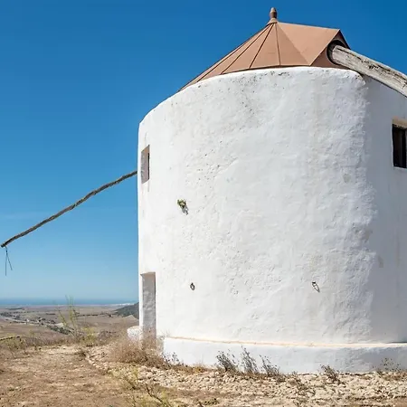 Naranjos En Vejer
